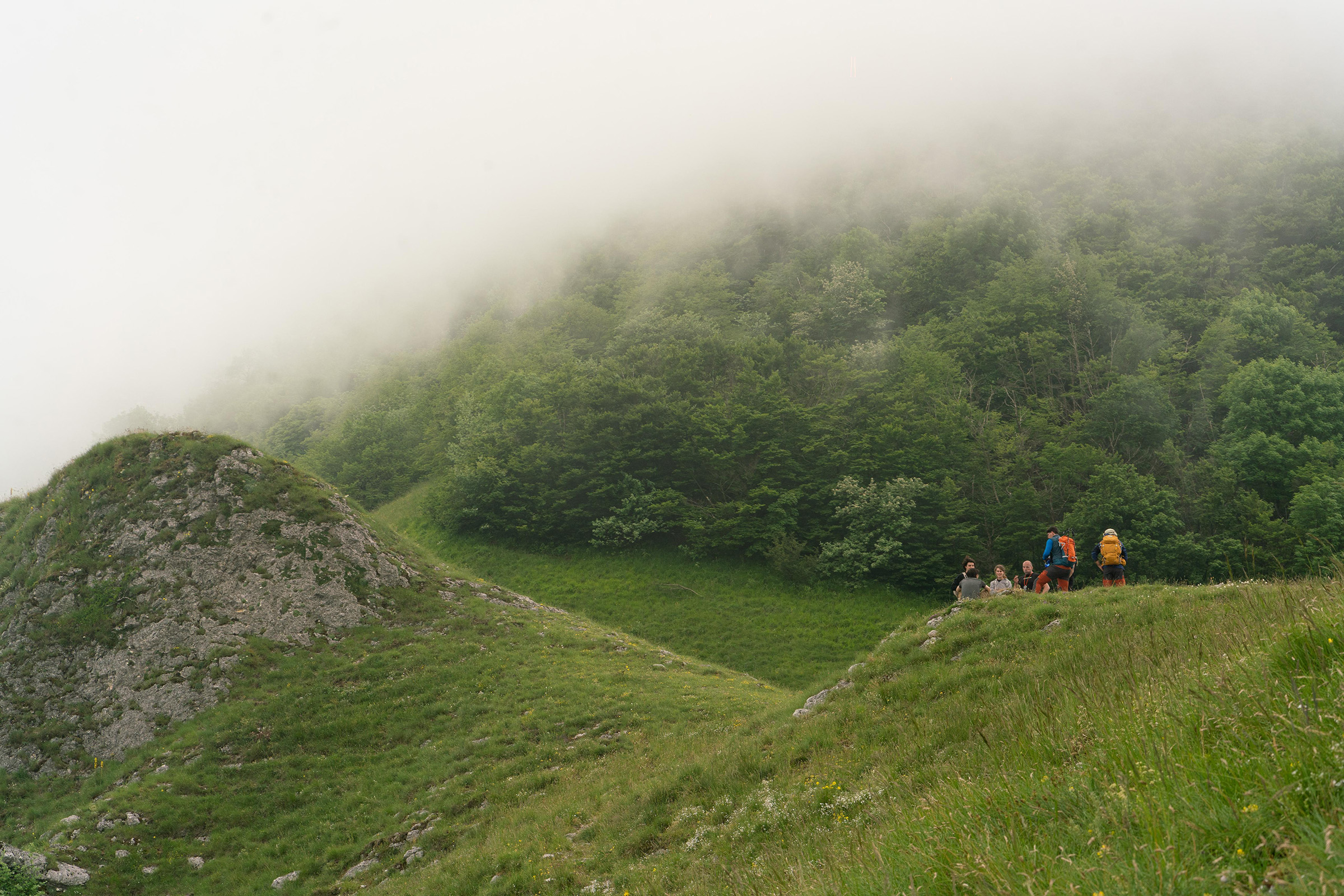 Gruppo escursionistico immerso nella verde foresta