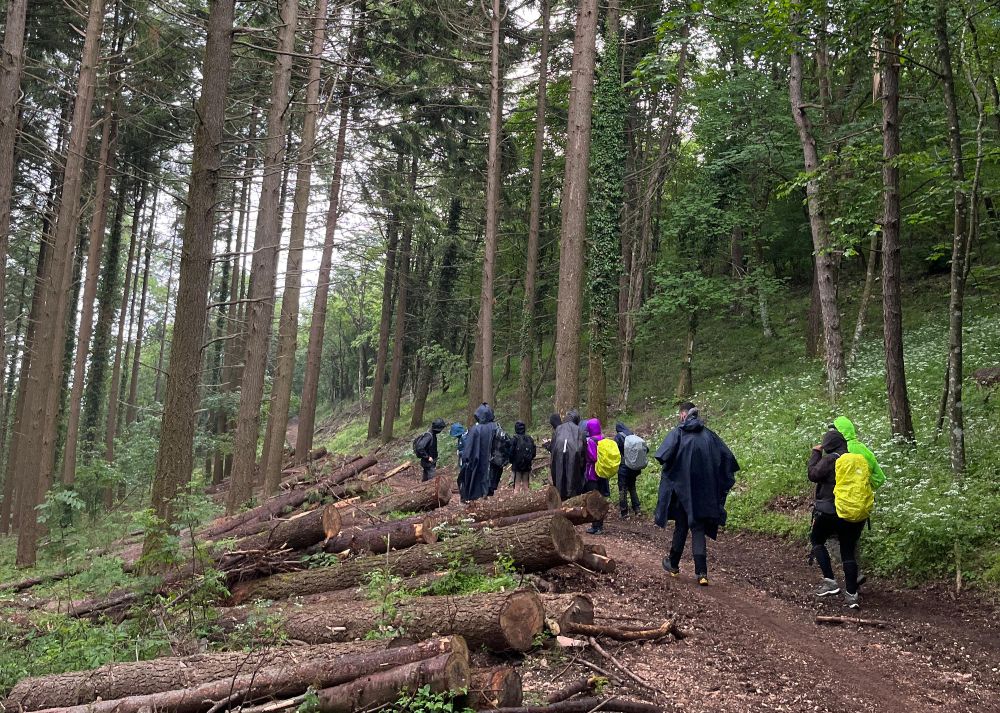 gruppo escursionistico tra gli alberi della foresta